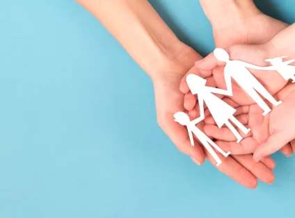 Birikim Stratejileri